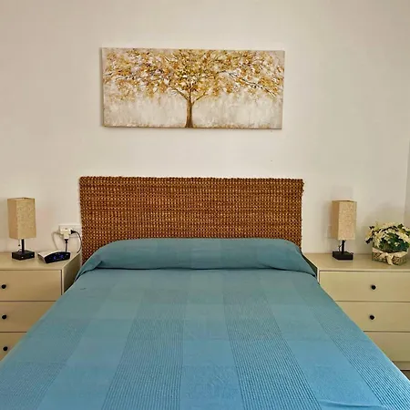 Alván - Ole Solutions Jerez de la Frontera