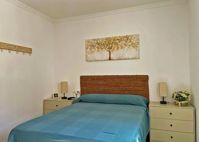 Alvan - Ole Solutions Jerez de la Frontera